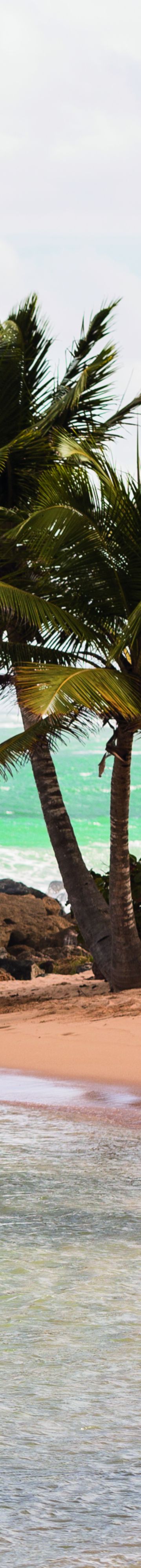 rcdorad_00295_conversion