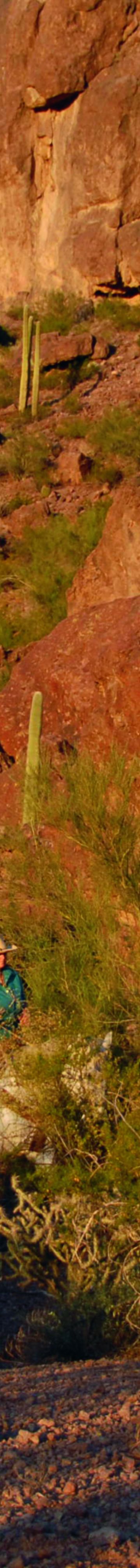 rcdovemt_00141_conversion