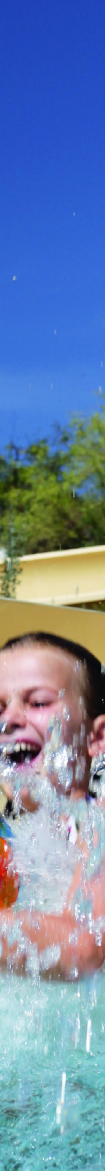 rcdovemt_00164_conversion