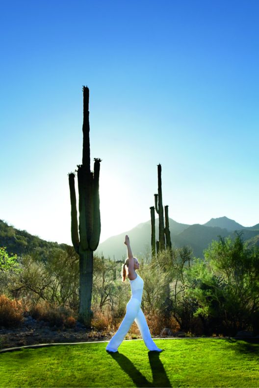 A woman stretching under a tall cactus and the blue skies and sunshine of the Sonoran Desert