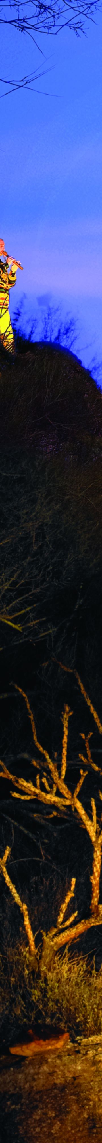 rcdovemt_00255_conversion