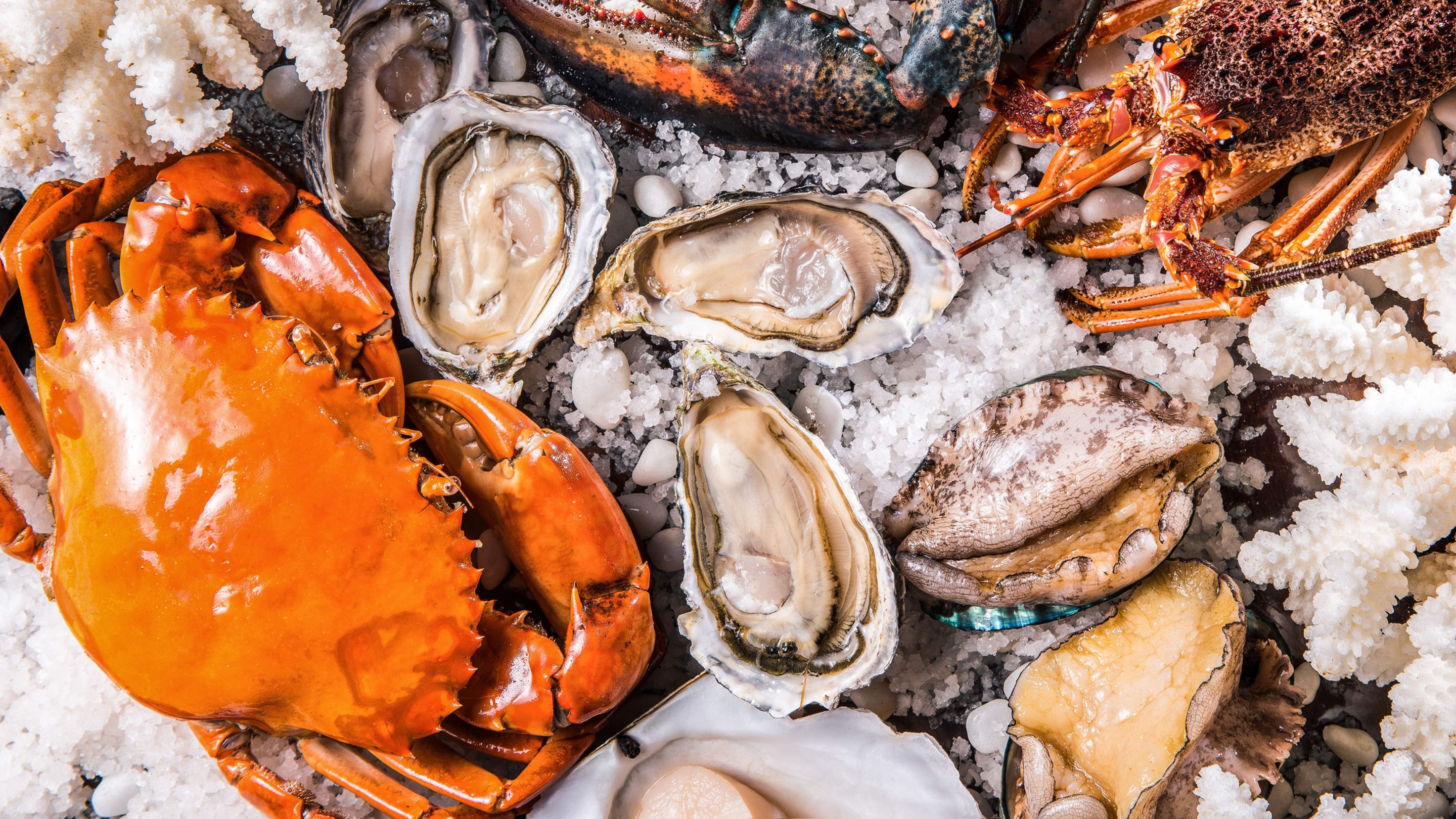 Fresh lobster, crab and oysters