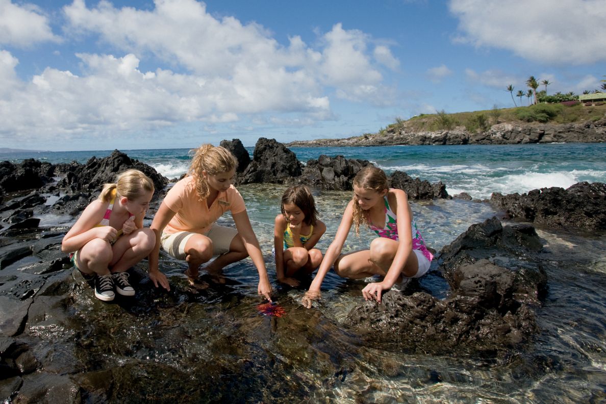 Young guests on guided exploration of tide pools.