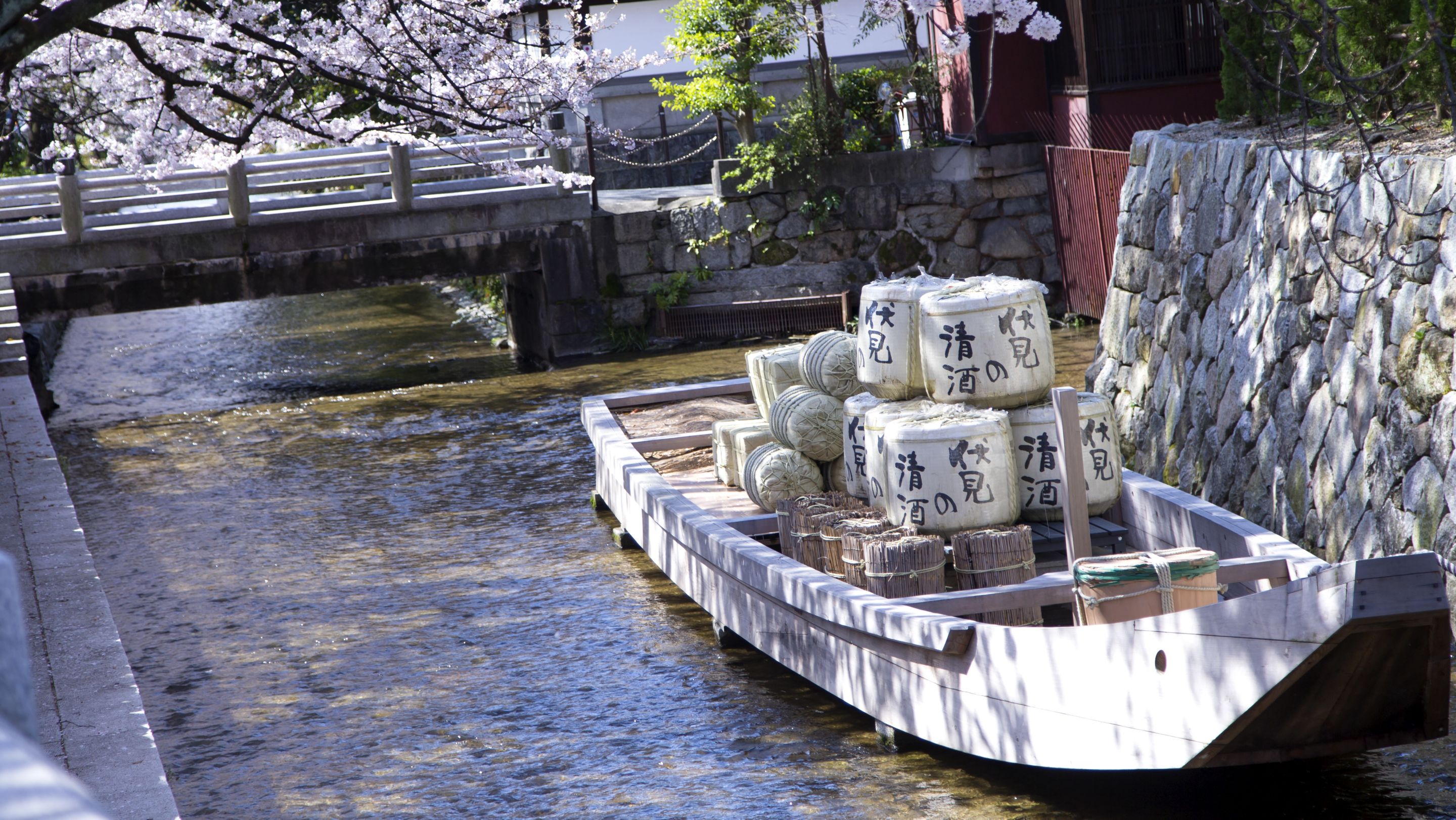 Traditional Japanese boat laden with cargo gently floats beneath cherry blossoms along the river