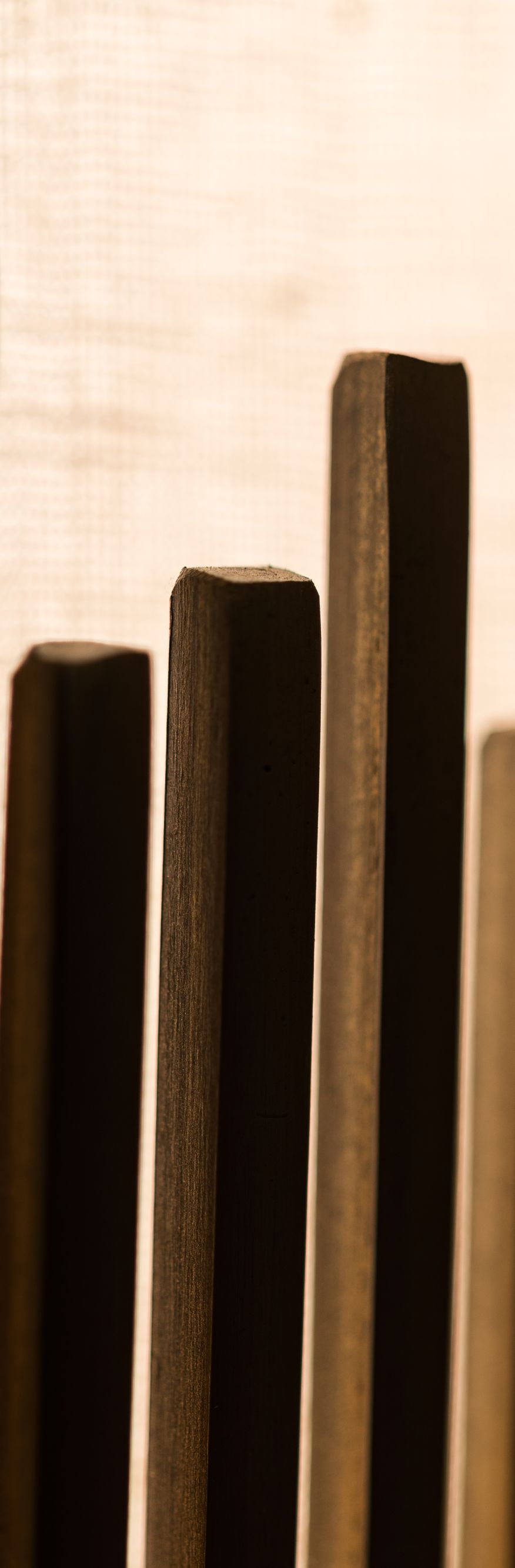 Ritz Carlton Hotel image