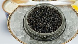 Caviar on ice