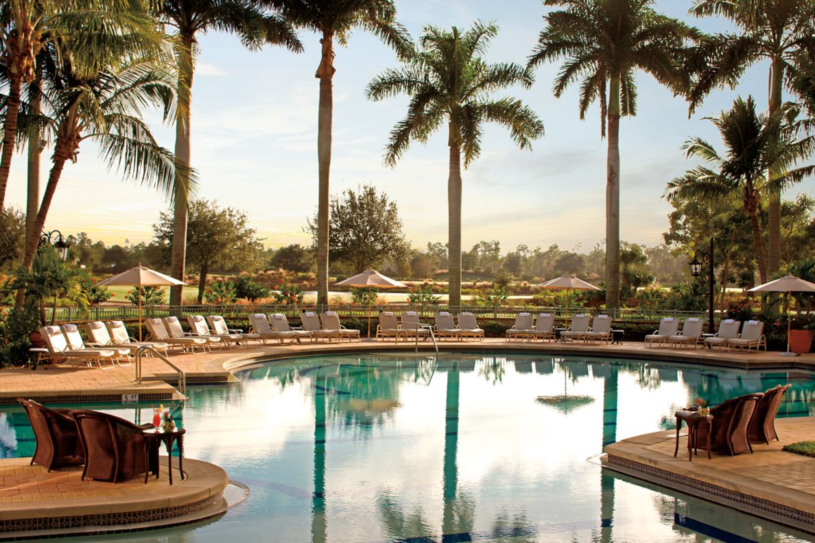 Outdoor Pool surrounded by poolside furniture and palm trees.