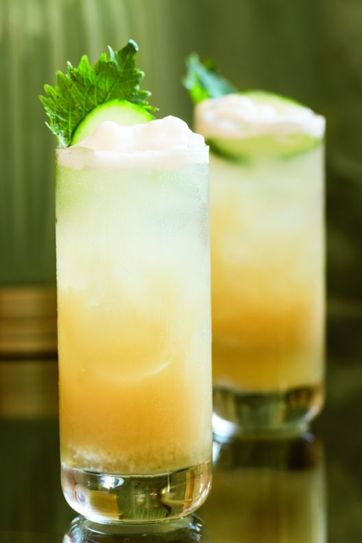 Two drink glasses with iced beverages and cucumber and mint garnishes