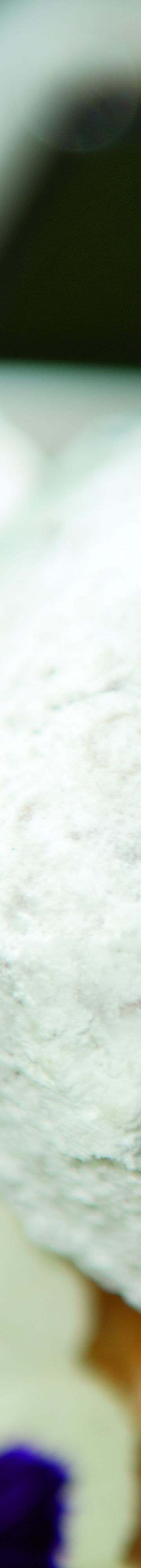 rcnworl_00110_conversion