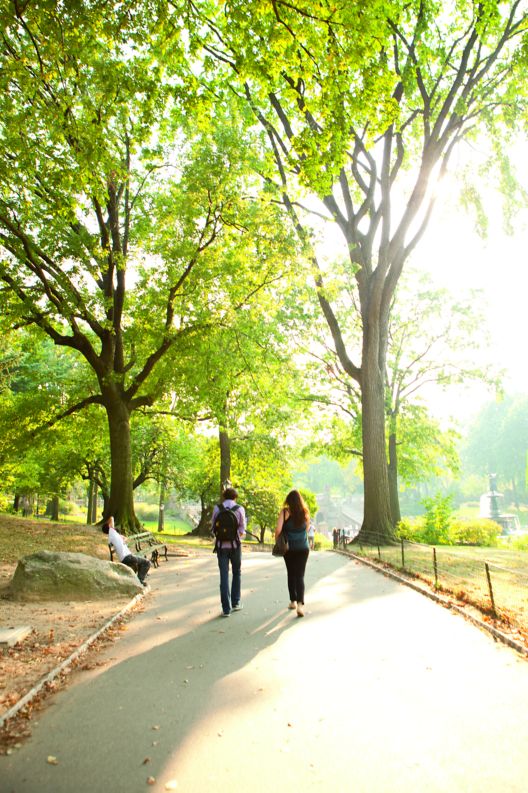 Two people walk casually along a tree-lined path in Central Park