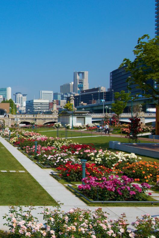 Central mall flanked by paths and rose gardens, all hemmed in by modern office buildings