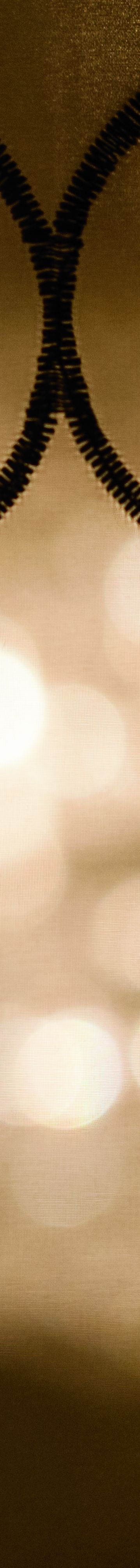 rcranch_00099_conversion