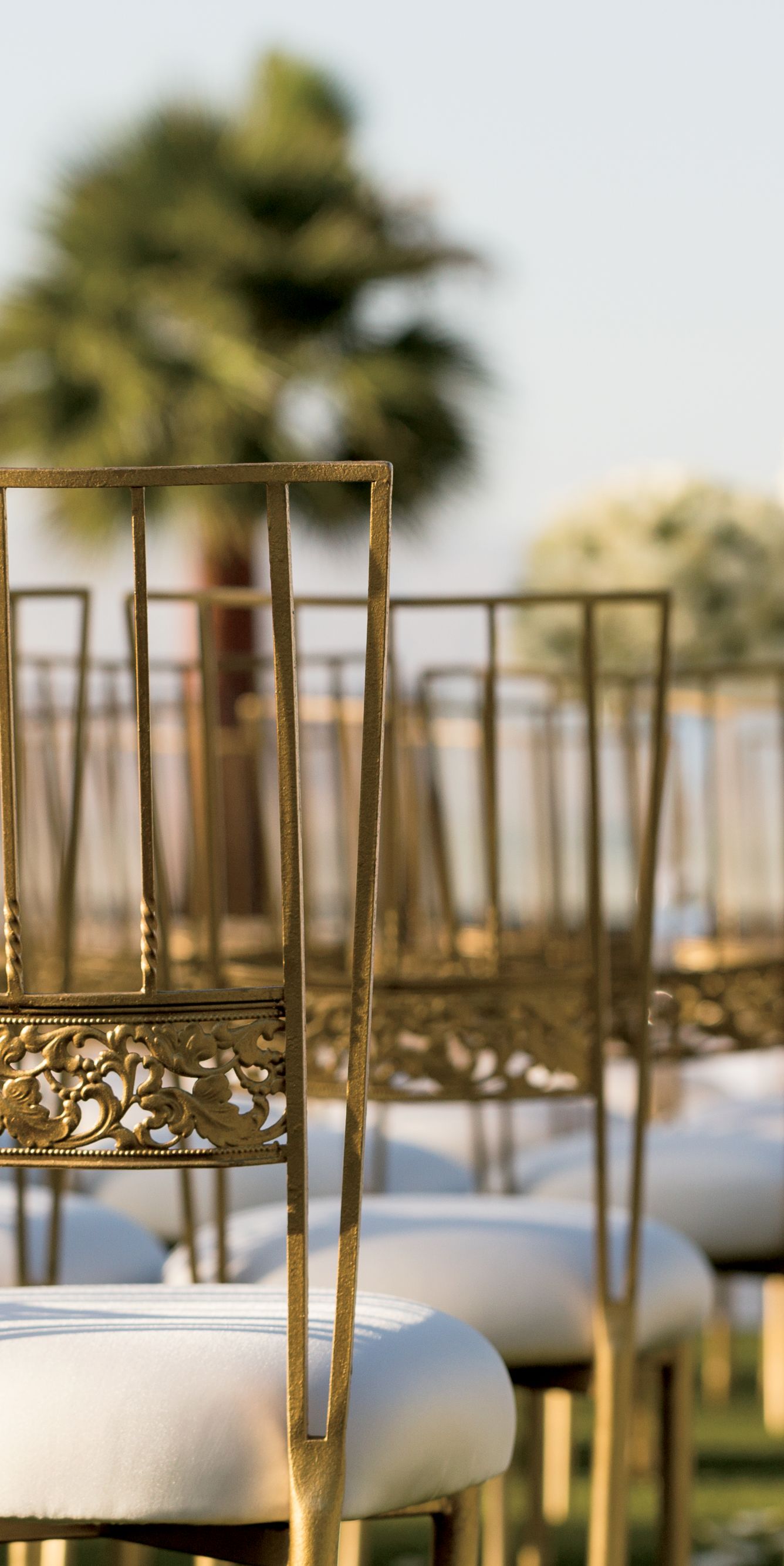 Ritz Carlton Hotel image