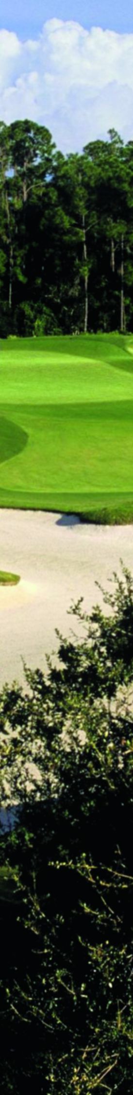 Trees hem in rolling greens and a vast sand trap at The Ritz-Carlton Members Golf Club in Sarasota