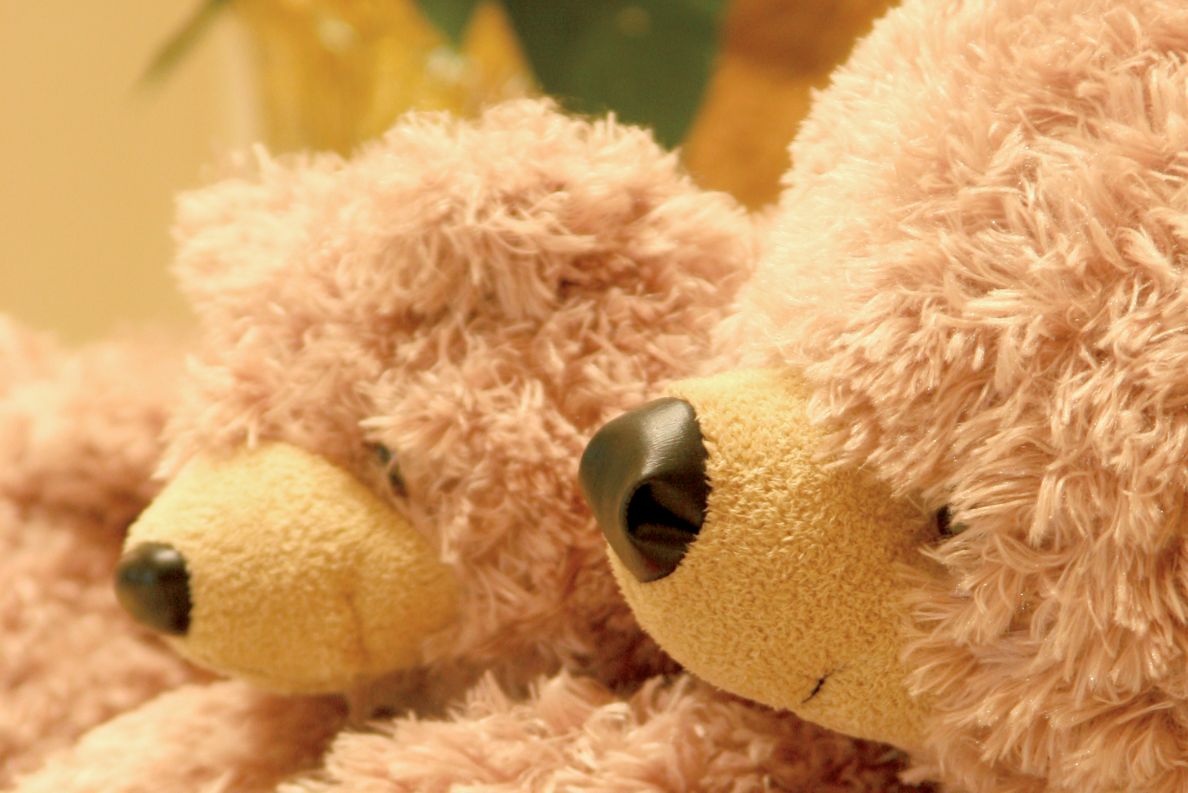 Two teddy bears. 