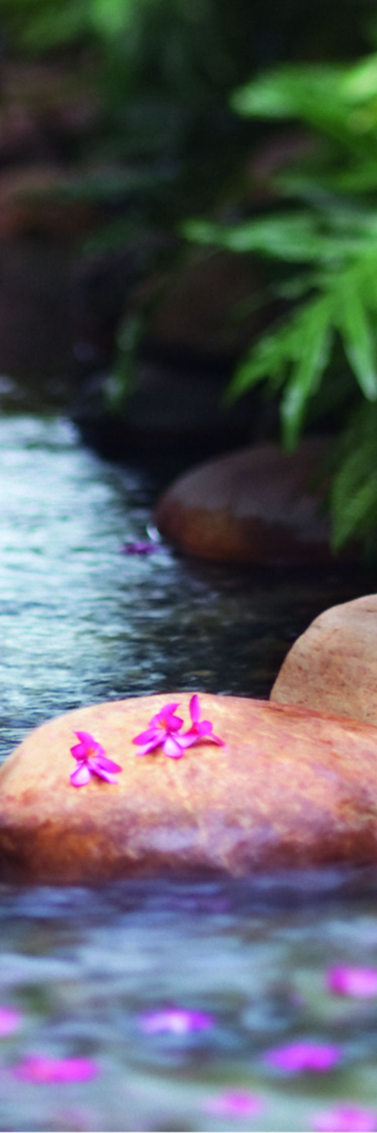 Stream strewn with flower petals and surrounded by greenery