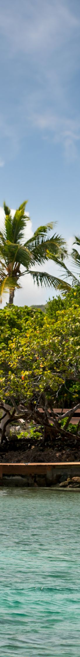 Two men standing on boards paddle themselves across the water