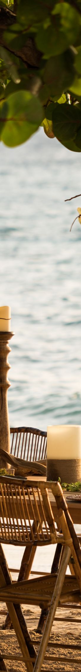 A long dining table beneath the shade of a tree and at the ocean?s edge