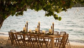 A long dining table beneath the shade of a tree and at the ocean?s edge