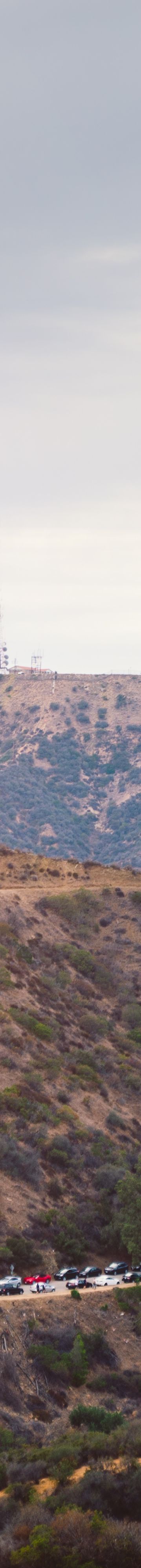 Hollywood Sign 22599