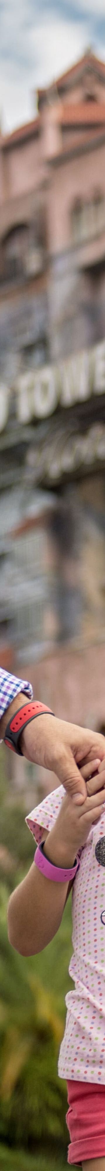 Hollywood Studios 37851