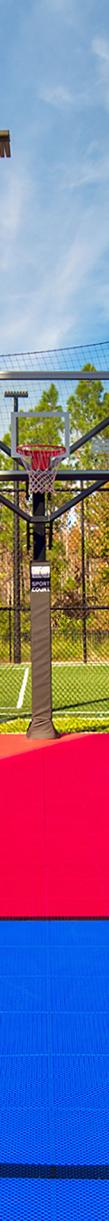 Basketball Court 31159