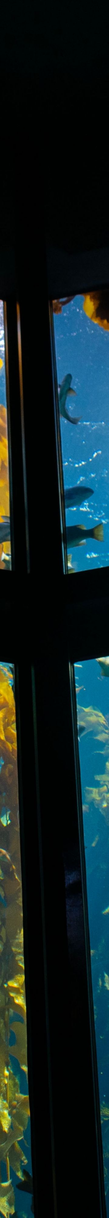 Monterey Bay Aquariu18793