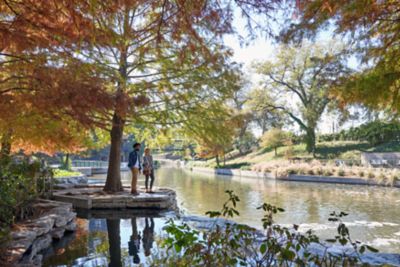 Couple looks out over river under pine tree