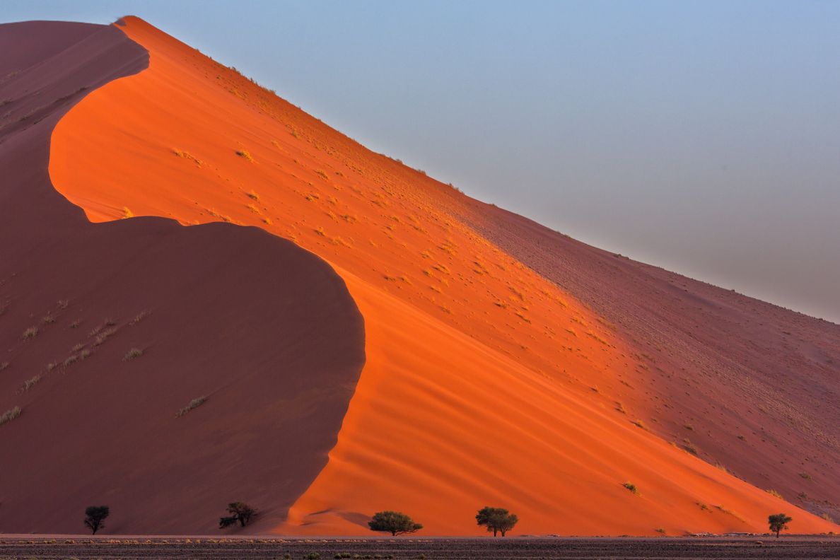 Sand dunes. 