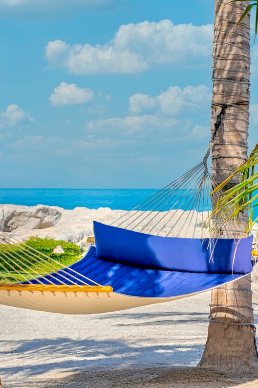 Hammock strung between to palm trees with view of the ocean beyond the sandy beach. 