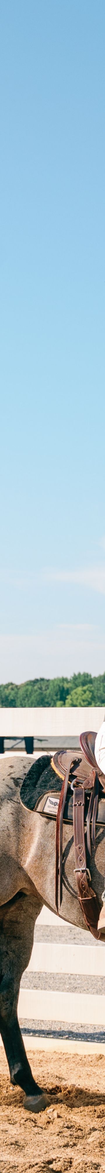 Equestrian Center 32827