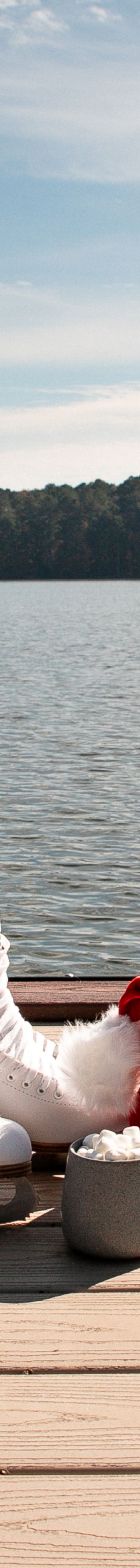 Skates on Dock 42598