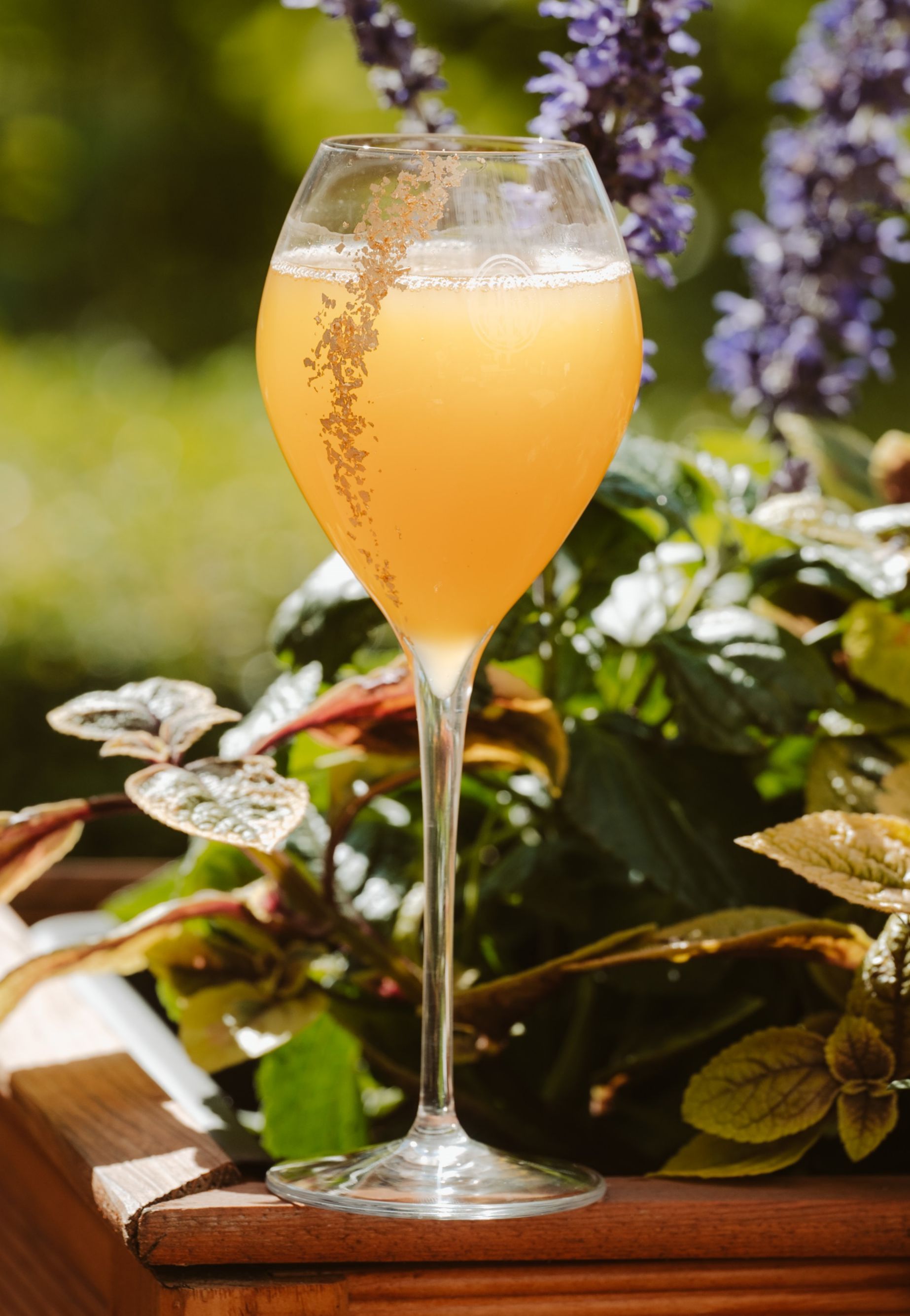 exclusive-drink-35661