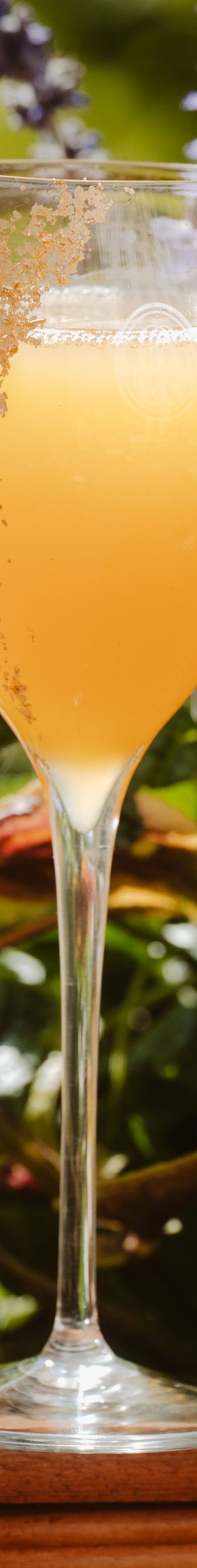 Exclusive Drink at Secret Champagne Garden