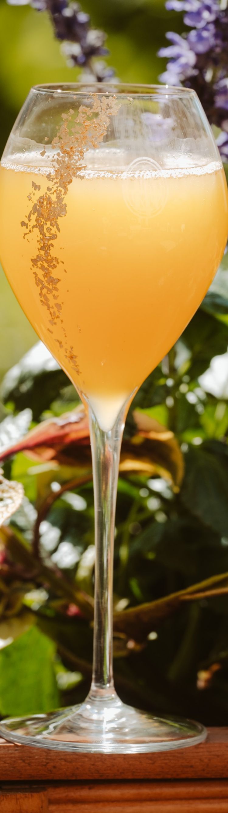 Exclusive Drink at Secret Champagne Garden