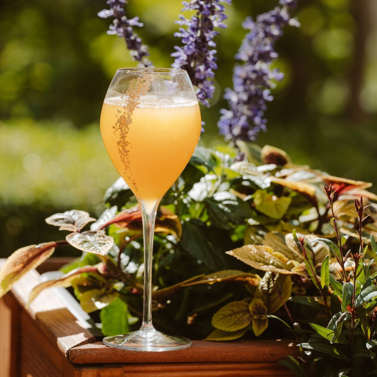 Exclusive Drink at Secret Champagne Garden