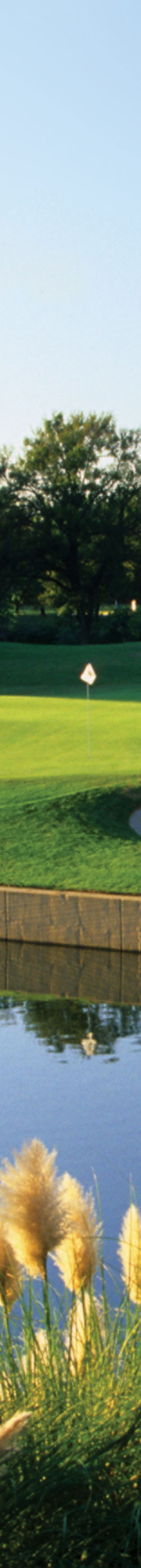 tpc-las-colinas-31338
