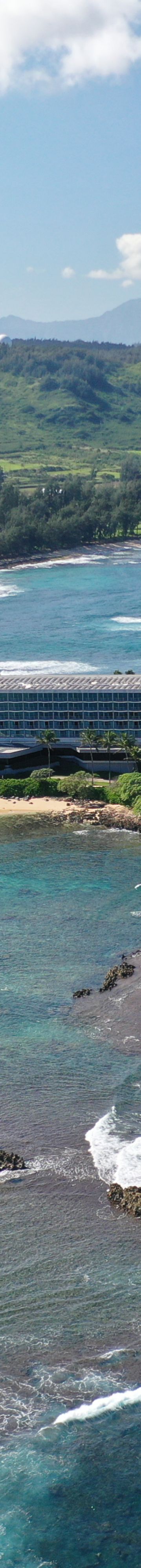 Aerial of Turtle-1