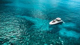 yacht tours maui ocean