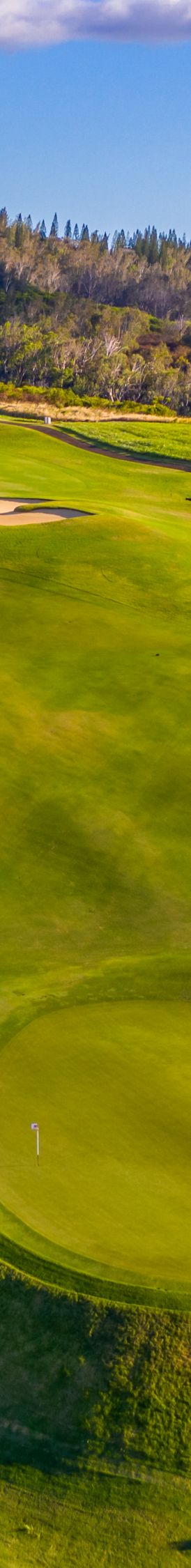 Aerial View of Plantation Golf Course