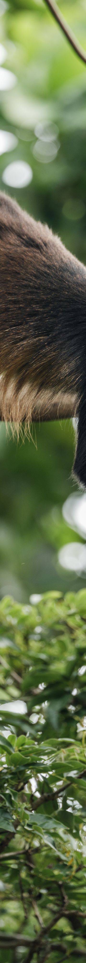 nekajui_rc_reserve 18163