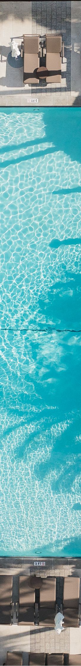 Aerial view of pool with pool chairs and palm tree