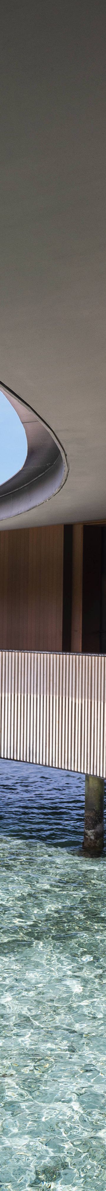 Elevate Your Elegance