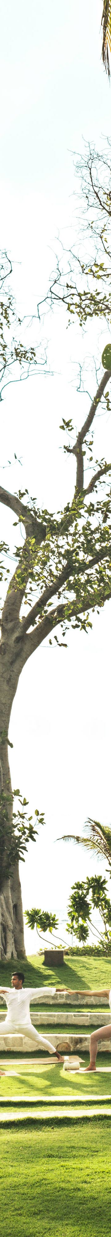 Yoga in the Serene Garden