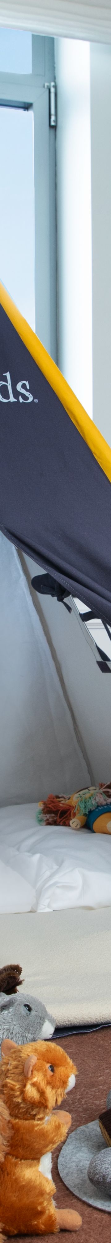 Ritz Kids Tent 76587