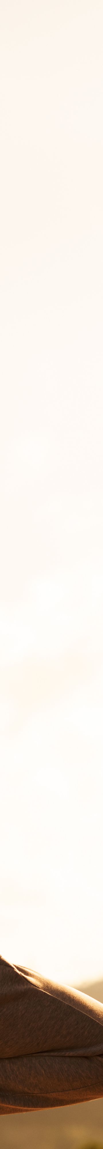  The Ritz-Carlton O 26521