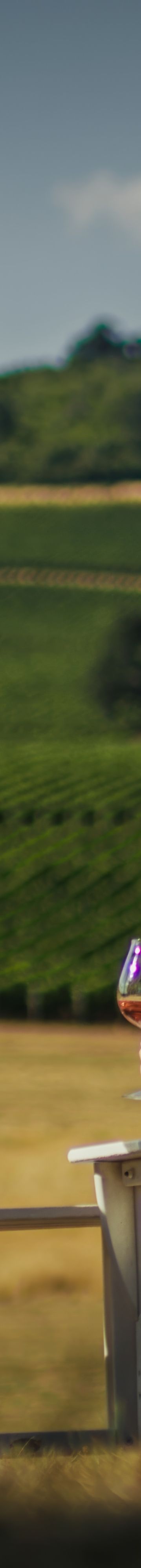 stoller-winery-1-15305