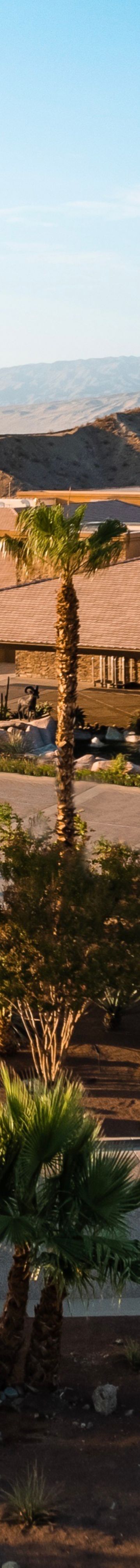 Welcome to Sophistication