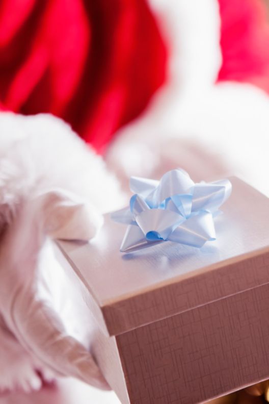 Santa presenting gift box with blue bow.