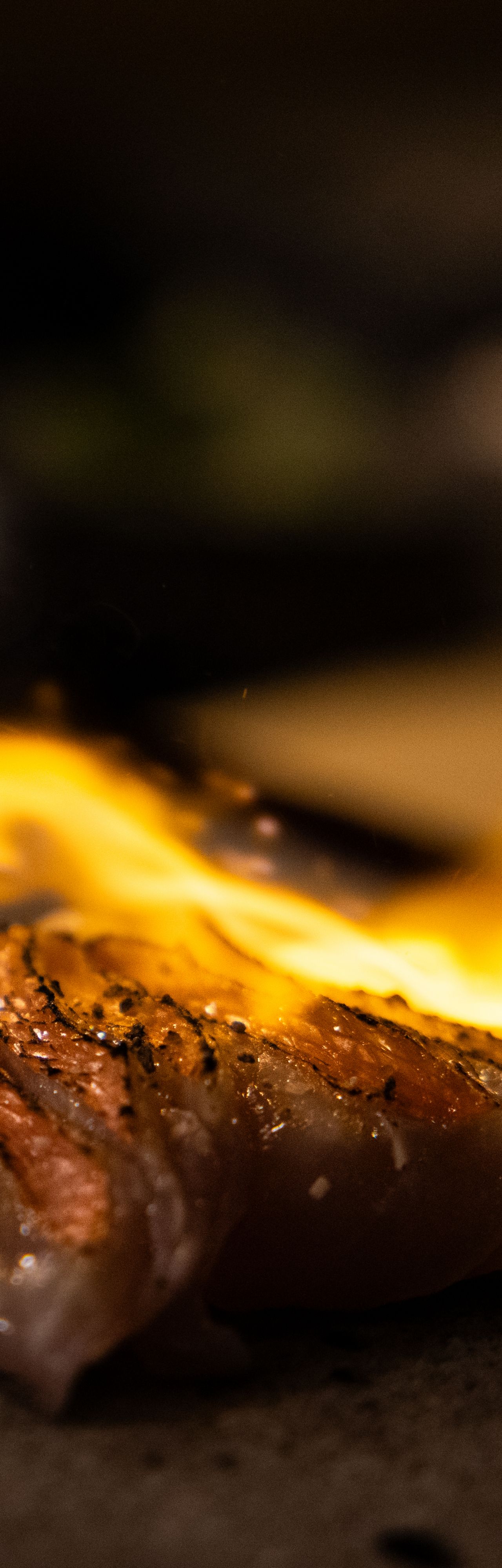 Fresh fire torched tuna.
